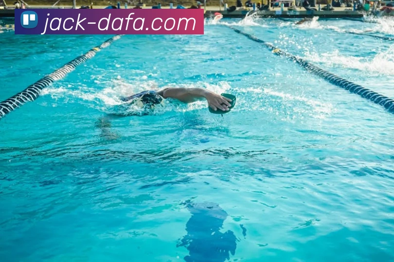 大发娱乐平台生态图